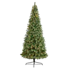 10ft. Pre-Lit Wisconsin Snow Tip Pine Artificial Christmas Tree, Clear LED Lights