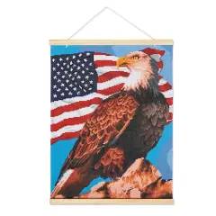 Bald Eagle Diamond Art Kit with Frame by Make Market&reg;