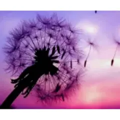 $product['description']['title']}