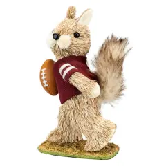 8.25" Standing Squirrel with Football Natural D&eacute;cor by Ashland&reg;