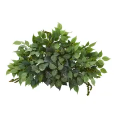 20'' Mixed Ficus & Fittonia Ledge Plant 