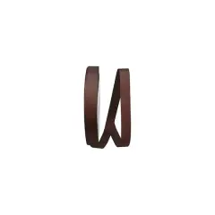 JAM Paper 7/8" x 100yd. Soliterra Taffeta Ribbon Chocolate Brown