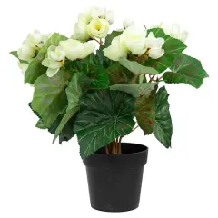 11" Cream Potted Silk Begonia Floral Arrangement