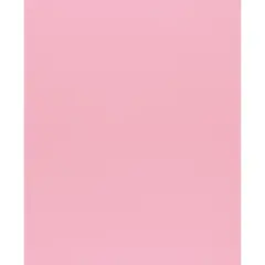 PA Paper&trade; Accents 8.5" x 11" 73lb. Muslin Cardstock Paper, 1,000 Sheets Retro Rose