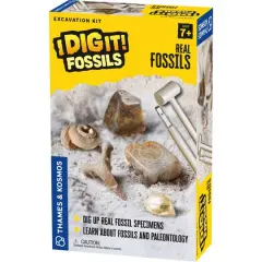 Thames & Kosmos I Dig It! Fossils Excavation Kit