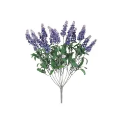 Lavender Bush