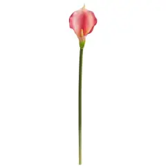 Pink Calla Lily Flower Stems, 12ct.