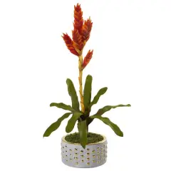 2ft. Orange Tropical Bromeliad Artificial Plant in Bowl with Gold Trimming