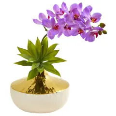 12" Moth Orchid & Agave Arrangement in Decorative Vase Purple