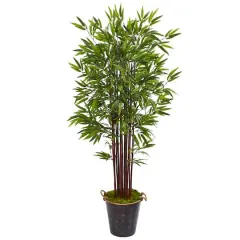 6ft. Bamboo Tree in Metal Planter
