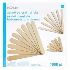 Mixed Craft Sticks by Creatology&trade;, 1,000ct.