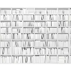 ohpopsi Library Wall Mural