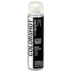 COLORSHOT&reg; Premium Gloss Spray Paint Little Black Dress