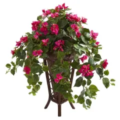 2.5ft. Pink Bougainvillea in Stand Planter