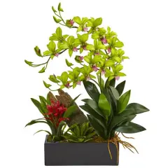 23.5" Green Pigeon Orchid & Bromeliad Arrangement in Black Rectangle Planter