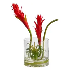 16" Red Star Bromeliad Arrangement in Glass Vase