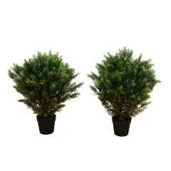 3ft. Potted UV Resistant Cedar Trees, 2ct.