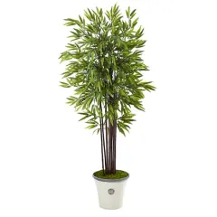 5.5ft. Bamboo Tree in Decorative Planter
