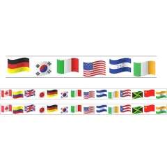Charles Leonard World Flag Theme Magnetic Border, 48ft.