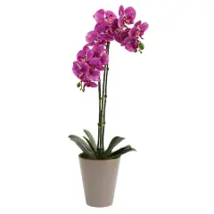 24&rdquo; Potted Speckled Phalaenopsis Orchid Artificial Arrangement