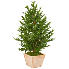 3ft. UV Resistant Olive Cone Topiary Tree in Terra Cotta Planter