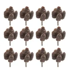Brown Pinecone Stem Bundle, 12ct.