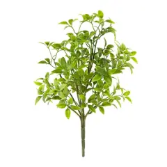 Tea Leaves Bush by Ashland&reg;