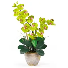 2ft. Double Moth Orchid Silk Flower Arrangement Green