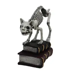 7" Skeleton Cat with Books Tabletop D&eacute;cor by Ashland&reg;