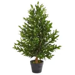3ft. Potted Olive Cone Topiary Tree