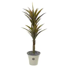5ft. Yucca Tree in Decorative Planter