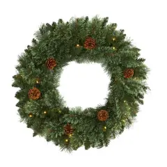 24" LED White Mountain Pine Artificial Christmas Wreath