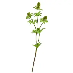 Green Thistle Stem, 12ct.