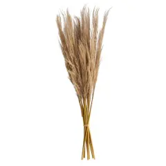 3ft. Dried Natural Pampas Grass Bundle, 2ct.