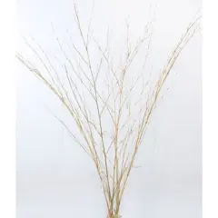 TF Publishing Gold Bamboo Spray Branches, 6ct.