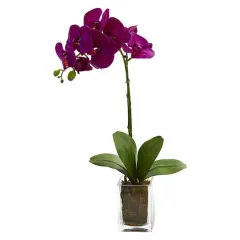 24" Purple Moth Orchid Arrangement in Vase