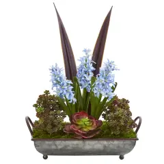 21" Hyacinth & Succulent Plant in Metal Tray