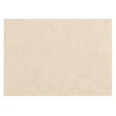 JAM Paper Natural 3.5" x 4.87" Blank Flat Parchment Note Cards, 50ct.