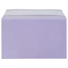 JAM Paper 5.43" X 8.62" Self Adhesive Closure Cello Sleeves, 100ct. Purple