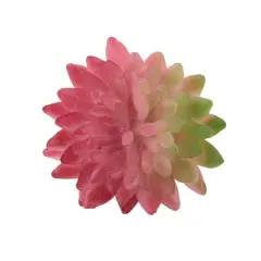 $product['description']['title']}