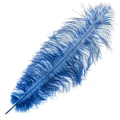 John Bead 11"-13" Ostrich Drab Feather Royal Blue