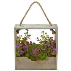 12.5" Succulent & Eucalyptus Plant in Hanging Frame