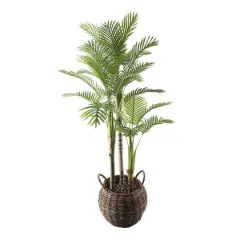 Flora Bunda&reg; 6ft. Palm in Brown Basket Planter