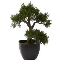 15in. Cedar Bonsai with Black Square Planter
