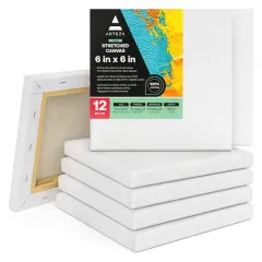 Arteza&reg; 6" x 6" White Stretched Canvases, 12ct.