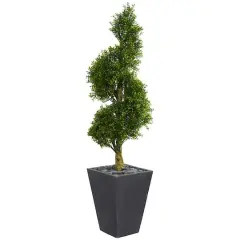5ft. UV Resistant Boxwood Spiral Topiary Artificial Tree in Slate Planter