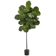 5.5ft. Potted Fiddle Leaf Tree