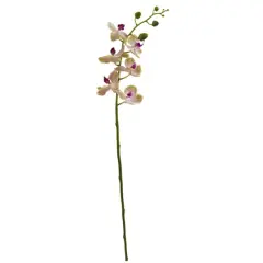Moth Orchid Artificial Flower, 4ct.