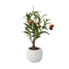 Flora Bunda&reg; 14" Olive Branch In 4" Ceramic Pot