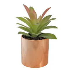 5" Green Aloe Plant in Rose Gold Pot